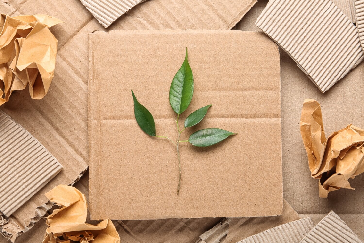 VF Corporation Announces 2025 Sustainable Packaging Goals