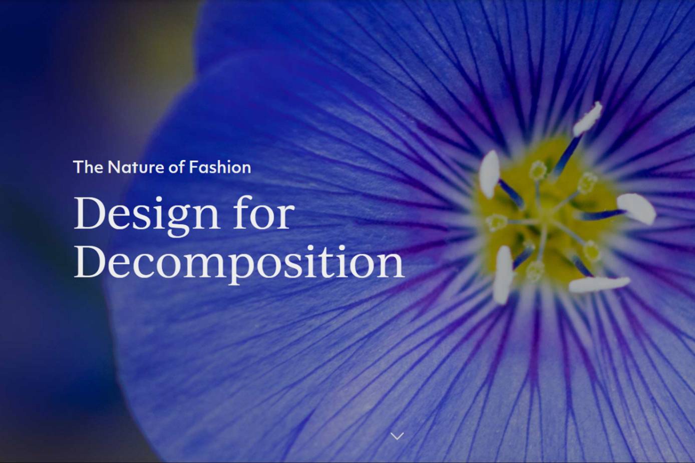 Design for Decomposition, a multi-year effort managed by the Biomimicry Institute, has been granted €2.5 million