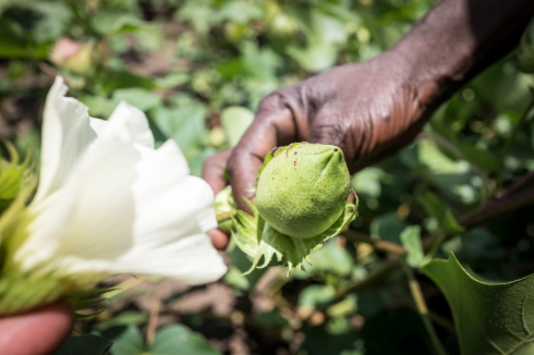 LPP Partners With Cotton made in Africa – Cotton Initiative Wins First Polish Partner