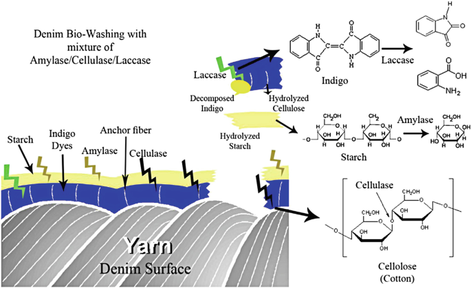 Denim's Deep Dive: Considering Eco-Friendly Dyeing Processes